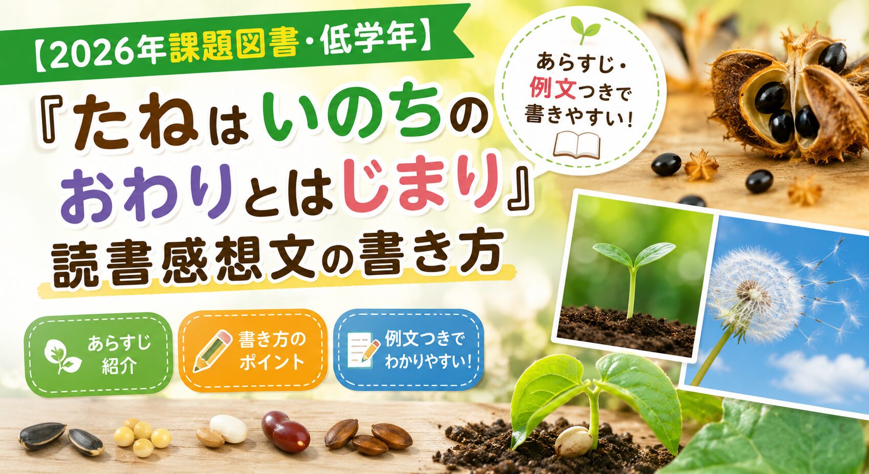 たねはいのちのおわりとはじまり 感想文書き方